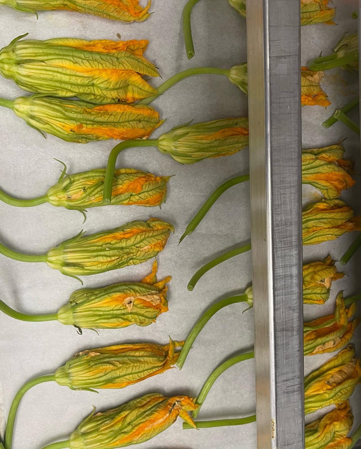 Stuffed squash blossoms ready for the pan